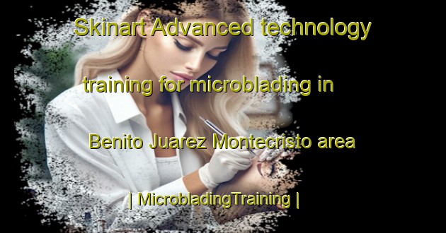 Skinart Advanced technology training for microblading in Benito Juarez Montecristo area | MicrobladingTraining | MicrobladingClasses | SkinartTraining-Mexico